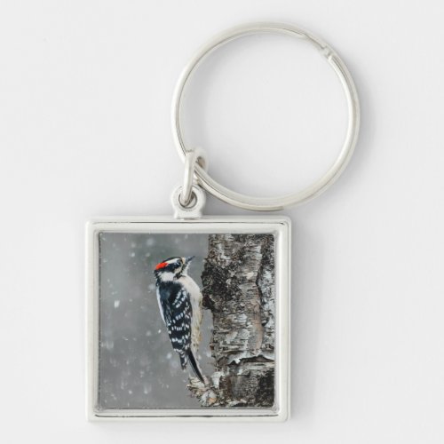 Downy Woodpecker in Snow _ Original Photograph Keychain