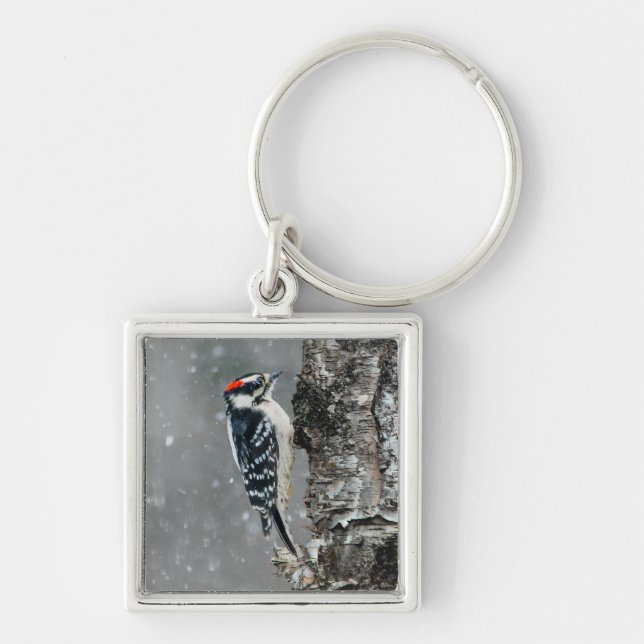 Downy Woodpecker in Snow - Original Photograph Keychain (Front)