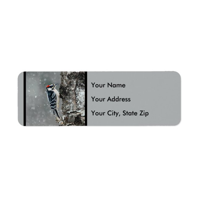 Downy Woodpecker in Snow - Original Photograph Label (Front)