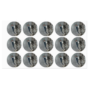 Downy Woodpecker in Snow - Original Photograph Labels