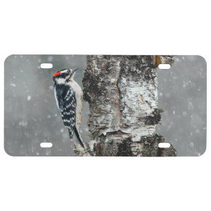 Downy Woodpecker in Snow - Original Photograph License Plate