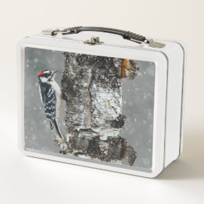 Downy Woodpecker in Snow - Original Photograph Metal Lunch Box