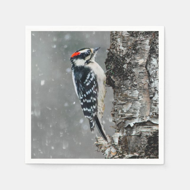 Downy Woodpecker in Snow - Original Photograph Napkins (Front)