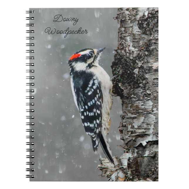 Downy Woodpecker in Snow - Original Photograph Notebook (Front)