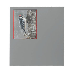 Downy Woodpecker in Snow - Original Photograph Notepad