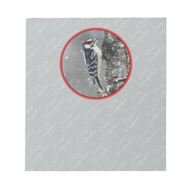 Downy Woodpecker in Snow - Original Photograph Notepad (Front)
