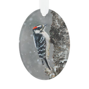Downy Woodpecker in Snow - Original Photograph Ornament