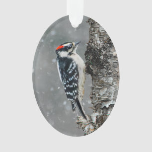 Downy Woodpecker in Snow - Original Photograph Ornament