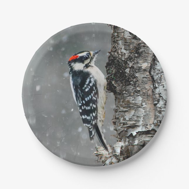 Downy Woodpecker in Snow - Original Photograph Paper Plates (Front)