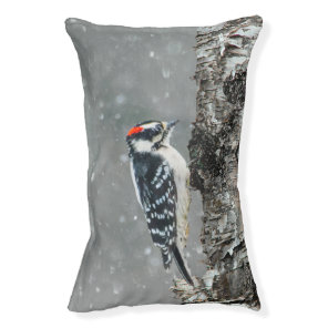 Downy Woodpecker in Snow - Original Photograph Pet Bed