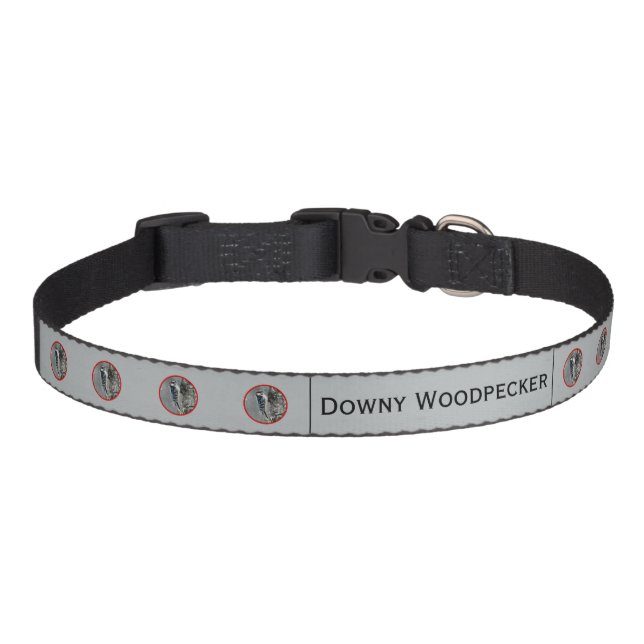 Downy Woodpecker in Snow - Original Photograph Pet Pet Collar (Front)