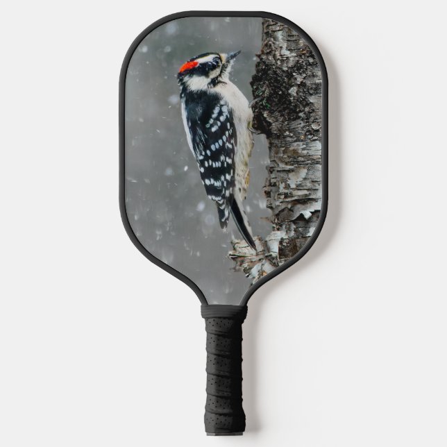 Downy Woodpecker in Snow - Original Photograph Pickleball Paddle (Front)