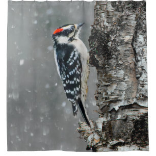 Downy Woodpecker in Snow - Original Photograph Shower Curtain