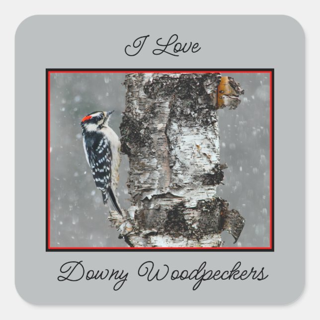 Downy Woodpecker in Snow - Original Photograph Square Sticker (Front)