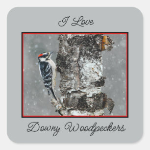 Downy Woodpecker in Snow - Original Photograph Square Sticker