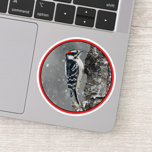 Downy Woodpecker in Snow _ Original Photograph Sticker