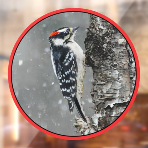 Downy Woodpecker in Snow _ Original Photograph Window Cling