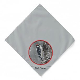 Downy Woodpecker in Winter Original Photograph Bandana