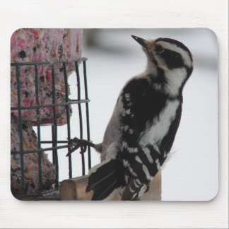 Downy Woodpecker Mouse Pad