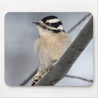 Downy Woodpecker Mousepad