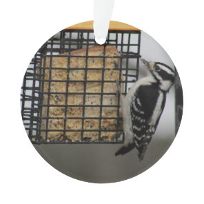Downy Woodpecker ornament