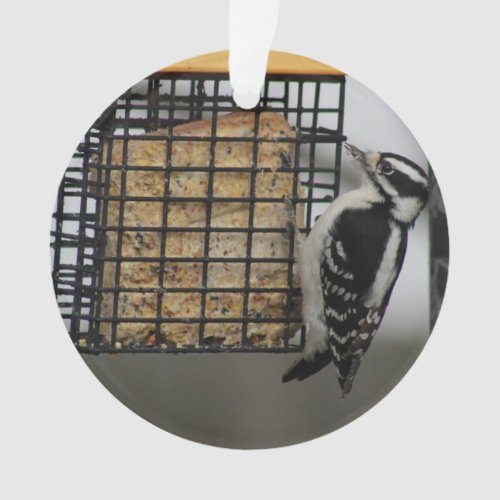 Downy Woodpecker ornament