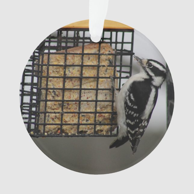 Downy Woodpecker ornament (Front)