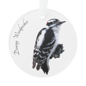 Downy Woodpecker Ornament