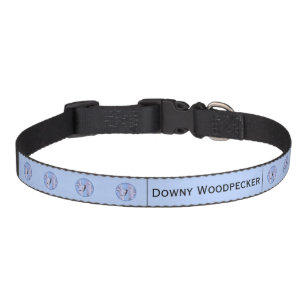 Downy Woodpecker Painting - Original Bird Art Pet  Collar