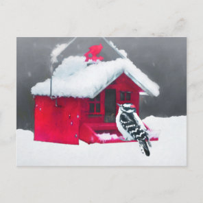 Downy Woodpecker Painting - Original Bird Art Postcard