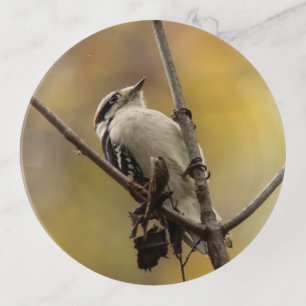 Downy Woodpecker Tray Gift for Bird Lovers