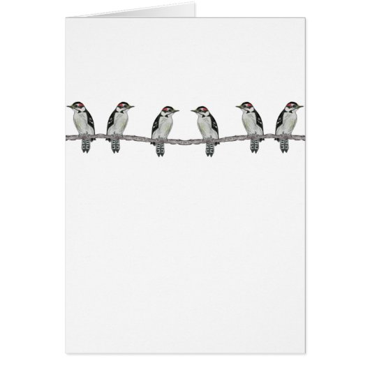 Downy Woodpeckers Party Invitation Card (Front)