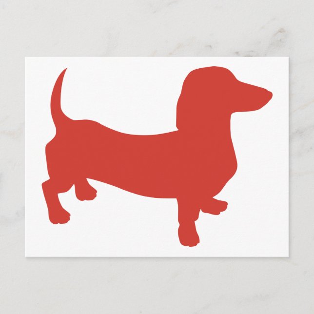 Doxie - Dacshund Postcard (Front)