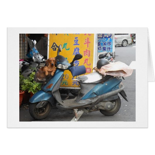 Doxie in basket card (Front Horizontal)