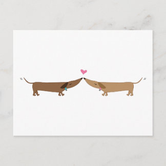 doxie love postcard