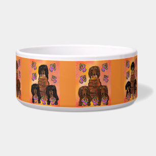 DOXIES BOWL