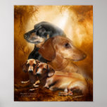 Doxies - Dappled In Sunshine Art Poster/Print Poster