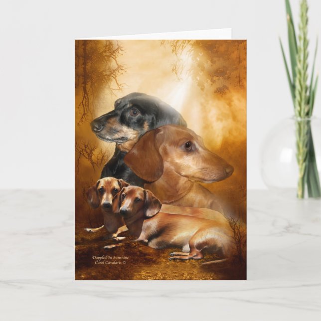 Doxies Dappled In Sunshine ArtCard Card (Front)