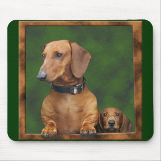Doxies in the mousepad! mouse pad