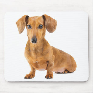 Doxin Cute Wiener Puppy Dog Lover Gift Dachshund Mouse Pad