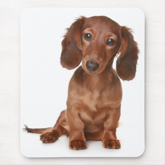 Doxin Wiener Dog Lover Gift Cute Dachshund Mouse Pad (Front)