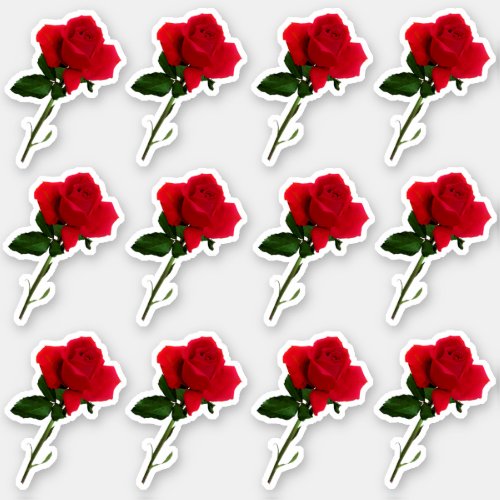 Dozen Long Stem Red Rose Sheet Sticker