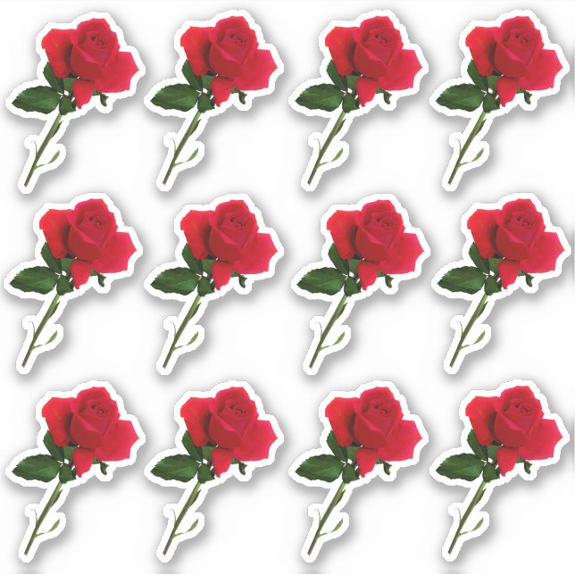 Dozen Long Stem Red Rose Sheet Sticker (Front)