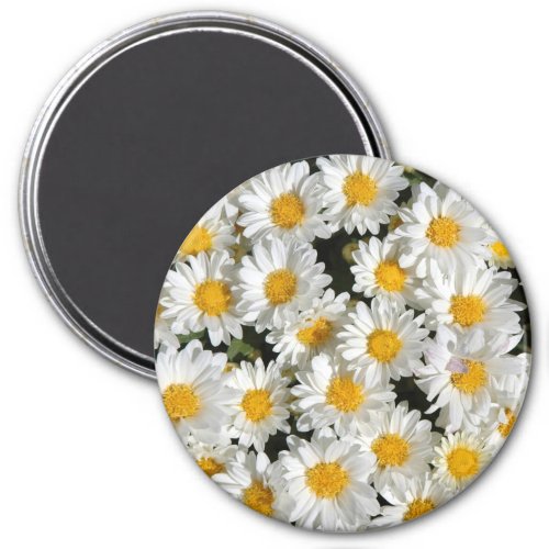 Dozens of Daisies Magnet