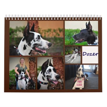 Dozer The Therapy Dog Calendar by TheDozerStore at Zazzle