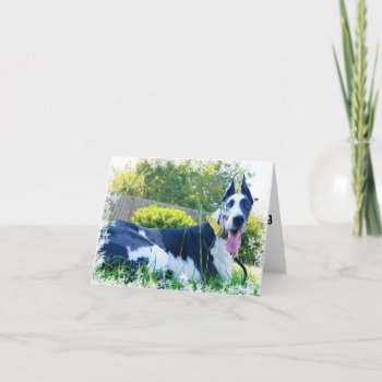 Dozer The Therapy Dog Greeting Card by TheDozerStore at Zazzle