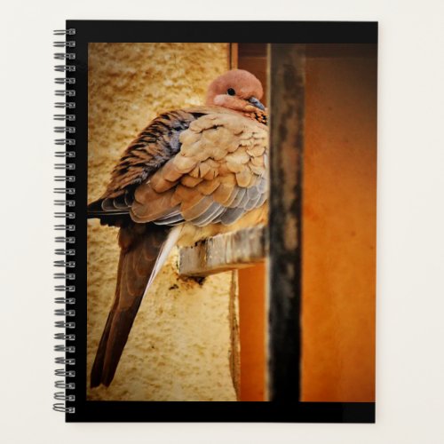 Dozing Dove Planner