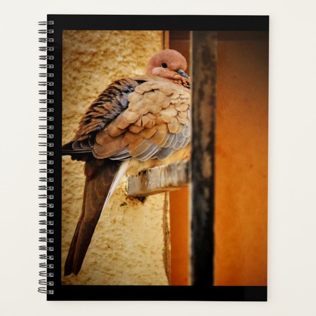 Dozing Dove Planner (Front)