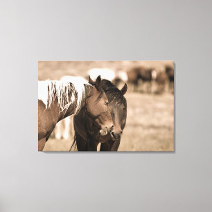 Dozing Onaqui Wild Horses Canvas Print
