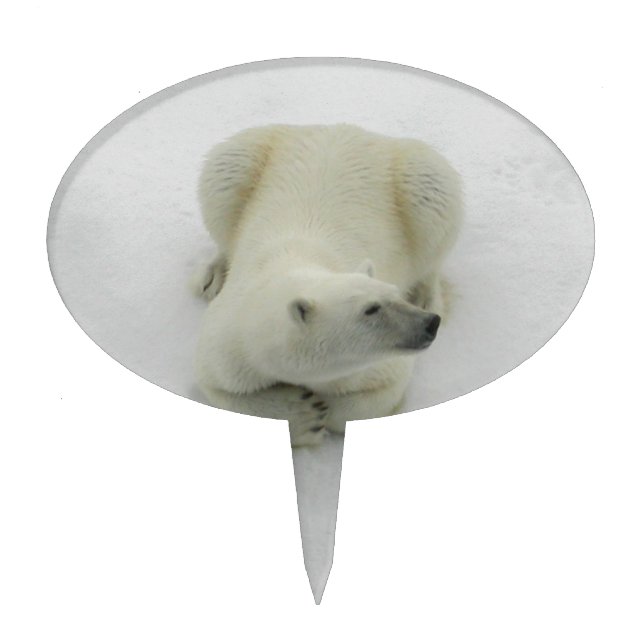 Dozing Polar Bear Cake Topper (Front)